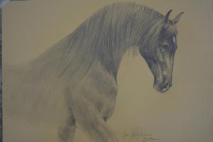 Expoziția „Maestrul și discipolul”, pe simezele Muzeului de Artă