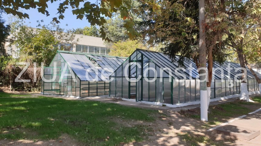 alegerilocale2020 horia constantinescu ppu sl de ziua lui la reabilitarea obiectivelor din parcul de alegerilocale2020 horia constantinescu ppu sl de ziua lui la reabilitarea obiectivelor din parcul de