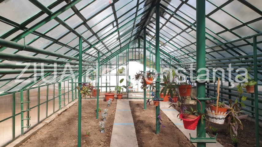 alegerilocale2020 horia constantinescu ppu sl de ziua lui la reabilitarea obiectivelor din parcul de alegerilocale2020 horia constantinescu ppu sl de ziua lui la reabilitarea obiectivelor din parcul de