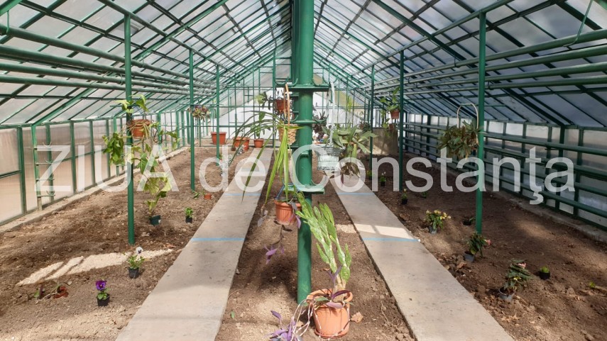 alegerilocale2020 horia constantinescu ppu sl de ziua lui la reabilitarea obiectivelor din parcul de alegerilocale2020 horia constantinescu ppu sl de ziua lui la reabilitarea obiectivelor din parcul de