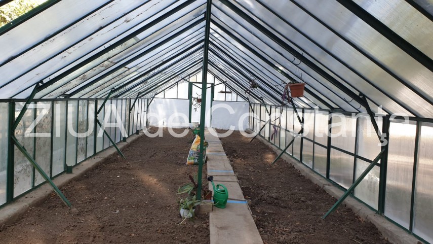 alegerilocale2020 horia constantinescu ppu sl de ziua lui la reabilitarea obiectivelor din parcul de alegerilocale2020 horia constantinescu ppu sl de ziua lui la reabilitarea obiectivelor din parcul de