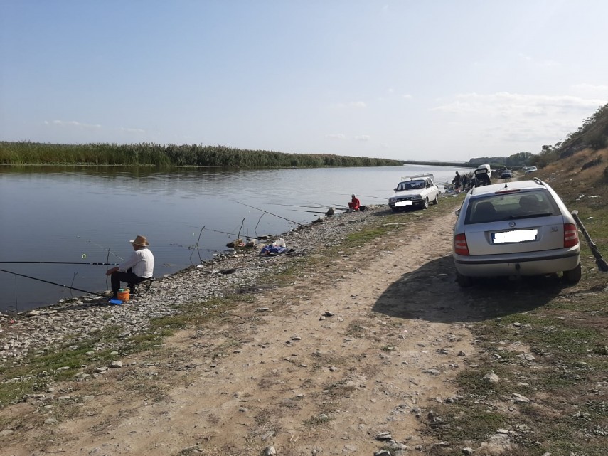 arbdd actiuni de control si ecologizare in zona somova parches galerie foto 729701 arbdd actiuni de control si ecologizare in zona somova parches galerie foto 729701