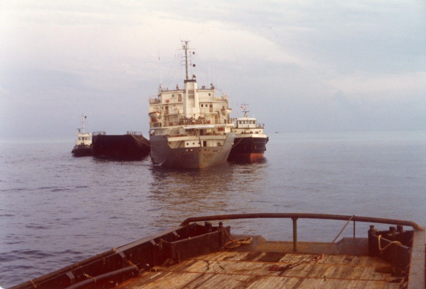 naufragiu in reciful de corali 731231 naufragiu in reciful de corali 731231