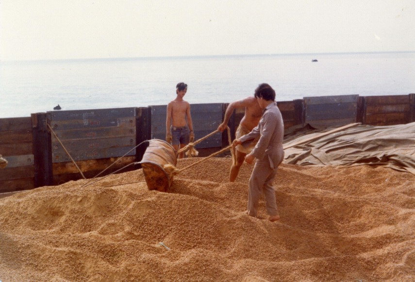 naufragiu in reciful de corali 731231 naufragiu in reciful de corali 731231