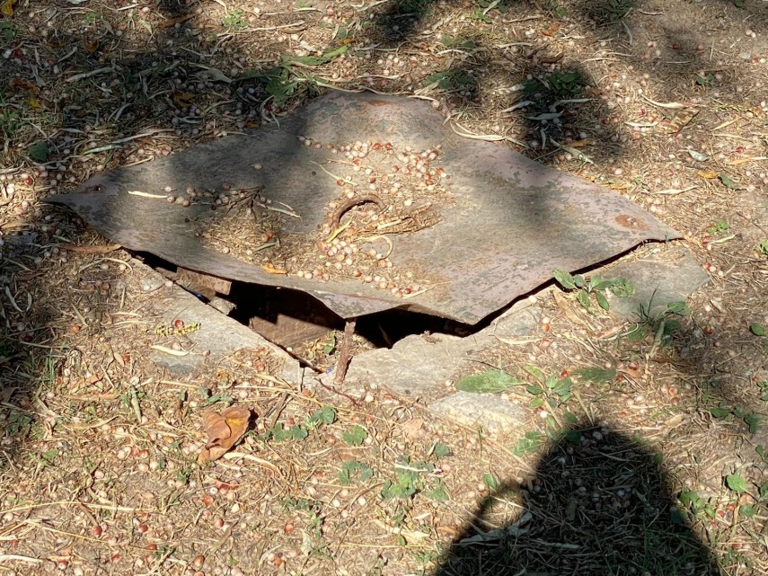 constanta a fost oprita temporar activitatea parcului de la delfinariu care e motivul 731682 constanta a fost oprita temporar activitatea parcului de la delfinariu care e motivul 731682