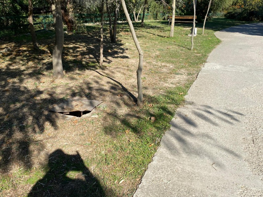 constanta a fost oprita temporar activitatea parcului de la delfinariu care e motivul 731682 constanta a fost oprita temporar activitatea parcului de la delfinariu care e motivul 731682