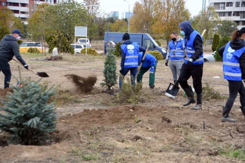 constanta restart a plantat din nou viata in ovidius park in memoria dr chemal taner 732879 constanta restart a plantat din nou viata in ovidius park in memoria dr chemal taner 732879