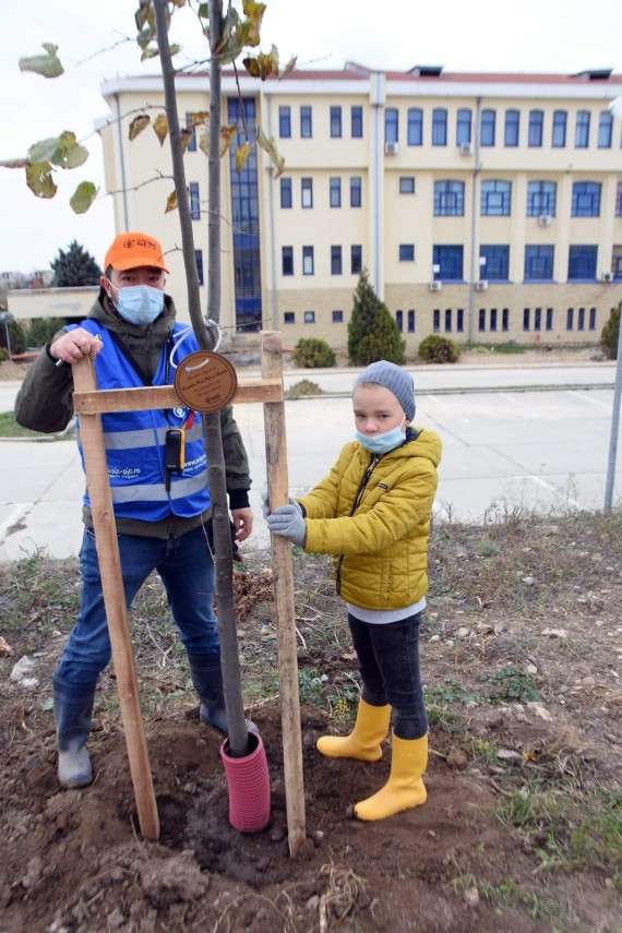 constanta restart a plantat din nou viata in ovidius park in memoria dr chemal taner 732879 constanta restart a plantat din nou viata in ovidius park in memoria dr chemal taner 732879