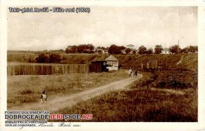 #DobrogeaDigitală Dobrogea, trăită „intens și artistic”   