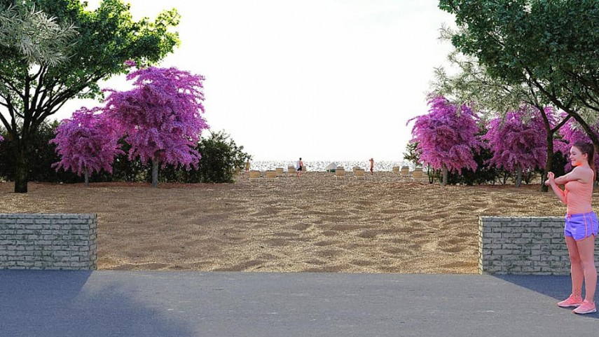 mamaia va fi ca in anii 70 80 liziere de salcami la marginea plajelor cine spune asta si de cand incepe mamaia va fi ca in anii 70 80 liziere de salcami la marginea plajelor cine spune asta si de cand incepe