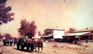 #DobrogeaDigitală Dinamica demografică a Dobrogei interbelice. Lista moșierilor Constanței 