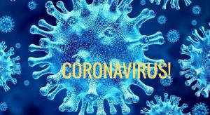 Coronavirus Tulcea. 648 de persoane, izolate la domiciliu
