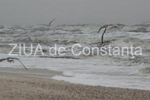 Prognoza meteo Ploi însemnate cantitativ, în Dobrogea