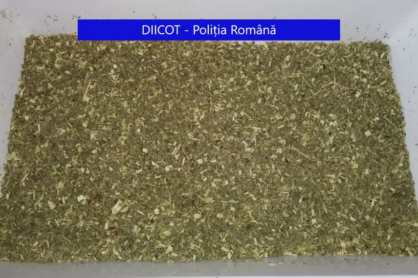 diicot 4 persoane retinute pentru trafic de droguri de mare risc 735812 diicot 4 persoane retinute pentru trafic de droguri de mare risc 735812