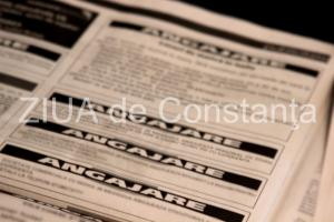 Teatrul pentru Copii și Tineret Constanța „Căluțul de Mare“ angajează șofer