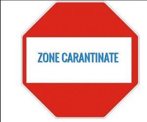 O, ce veste minunată! În patru localități din județul Constanța se ridică, azi, carantina. Mai rămân trei