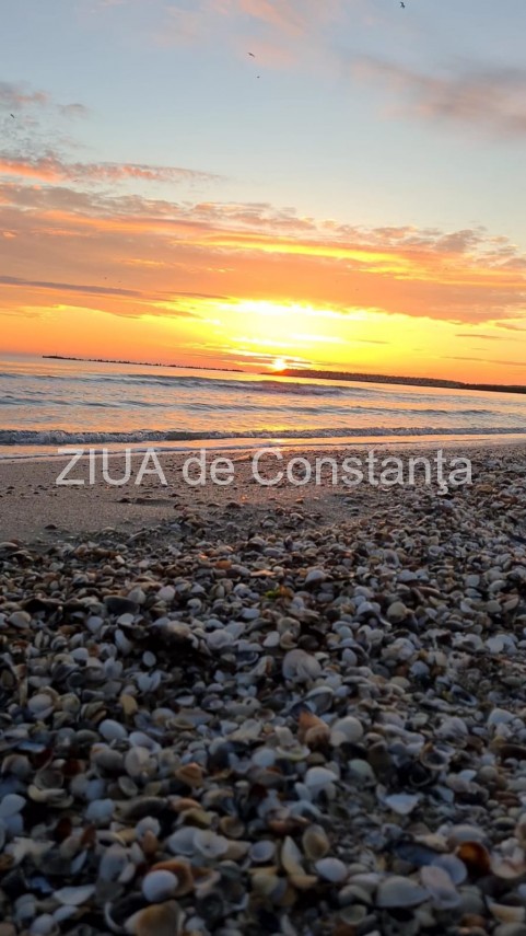 constanta baie in mare la rasarit pe 1 ianuarie video 736812 constanta baie in mare la rasarit pe 1 ianuarie video 736812
