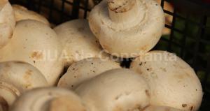 Vitamina soarelui. Ce alimente sunt bogate în vitamina D