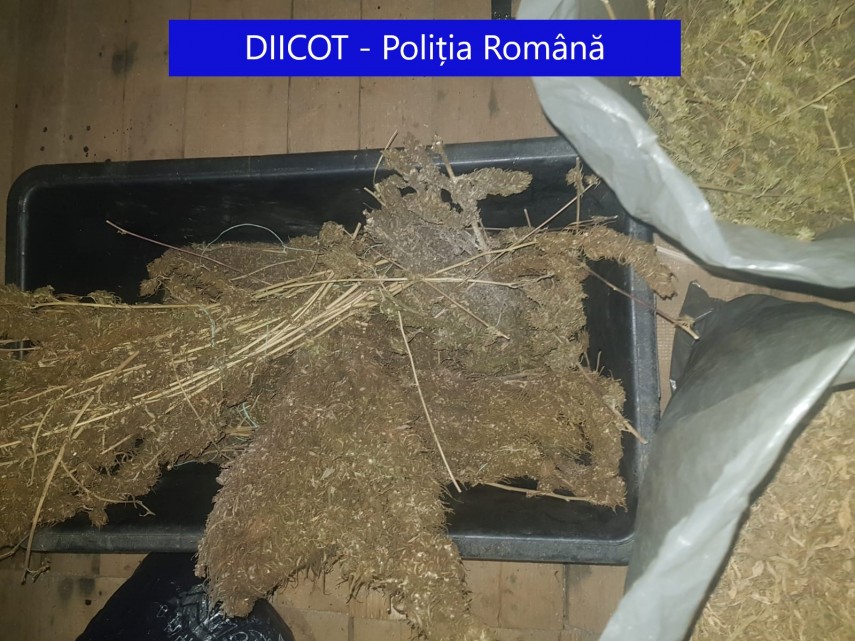 diicot prins in flagrant si retinut pentru trafic de droguri 739503 diicot prins in flagrant si retinut pentru trafic de droguri 739503