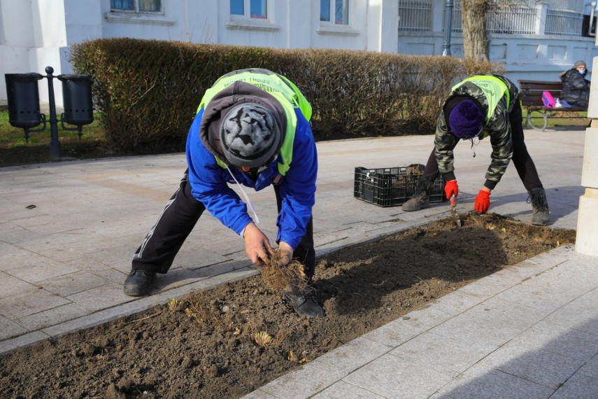 se planteaza mii de flori in zona falezei cazinoului din constanta 739666 se planteaza mii de flori in zona falezei cazinoului din constanta 739666