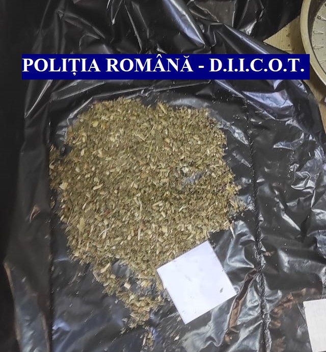 perchezitii in braila intr un dosar de trafic de droguri si trafic de persoane 739668 perchezitii in braila intr un dosar de trafic de droguri si trafic de persoane 739668