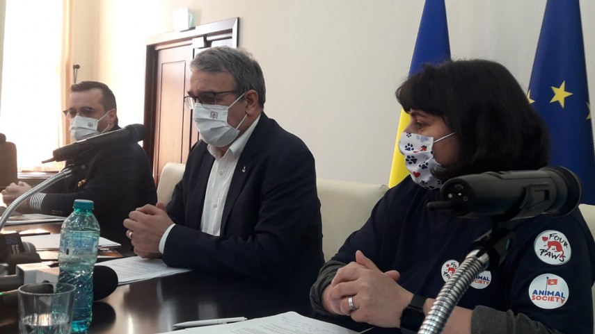 primaria constanta si animal society dau startul unei campanii ample de sterilizare 740031 primaria constanta si animal society dau startul unei campanii ample de sterilizare 740031