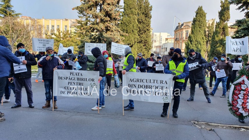 protest al agricultorilor in constanta 740280 protest al agricultorilor in constanta 740280