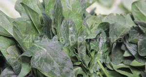 Legumele cu frunze verzi, perfecte pentru dieta de slăbit