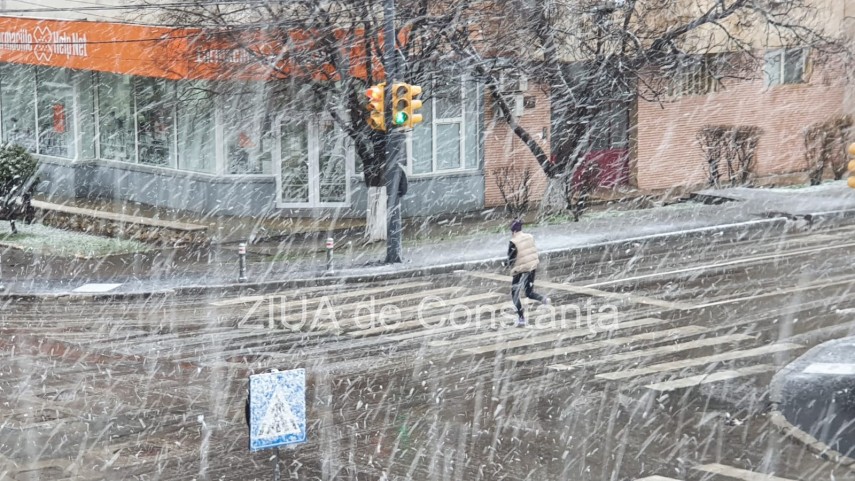ninge cu fulgi mari la constanta 742819 ninge cu fulgi mari la constanta 742819