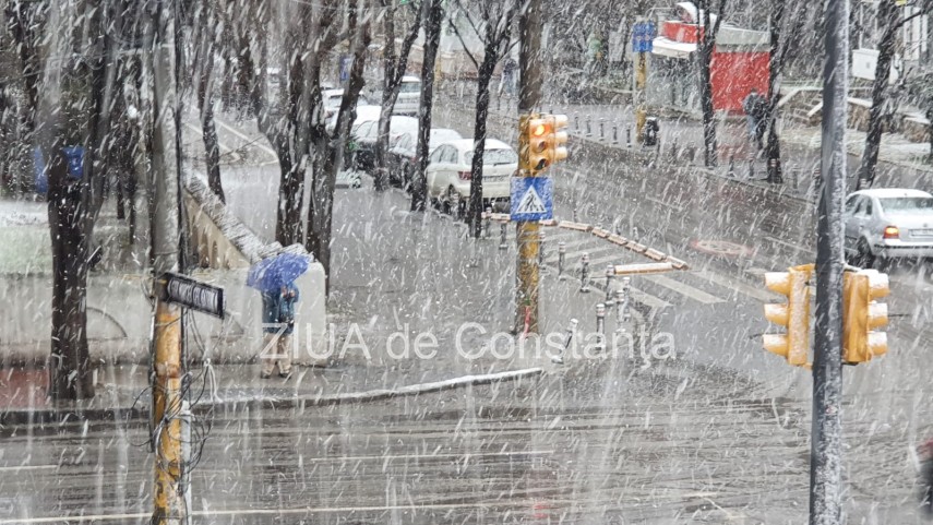 ninge cu fulgi mari la constanta 742819 ninge cu fulgi mari la constanta 742819
