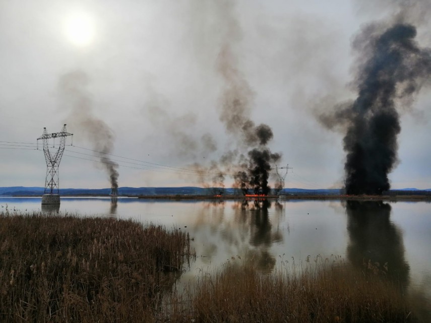incendiu pe valea oltului inferior imagini cum rar pot fi vazute 743180 incendiu pe valea oltului inferior imagini cum rar pot fi vazute 743180