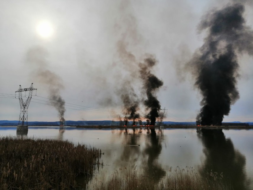 incendiu pe valea oltului inferior imagini cum rar pot fi vazute 743180 incendiu pe valea oltului inferior imagini cum rar pot fi vazute 743180