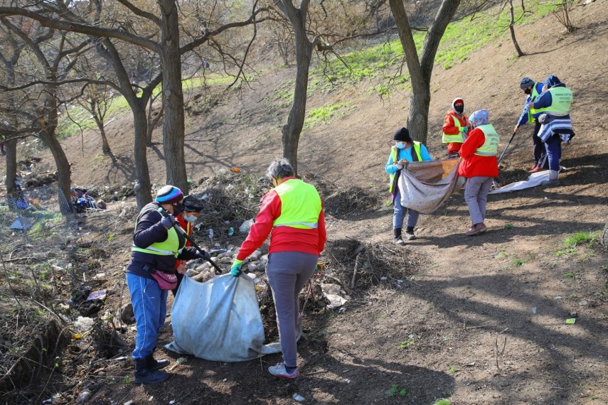 constanta continua actiunile de igienizare a taluzului dinspre plaje 743426 constanta continua actiunile de igienizare a taluzului dinspre plaje 743426