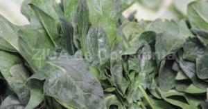 Legumele intens colorate, ideale pentru o piele frumoasă