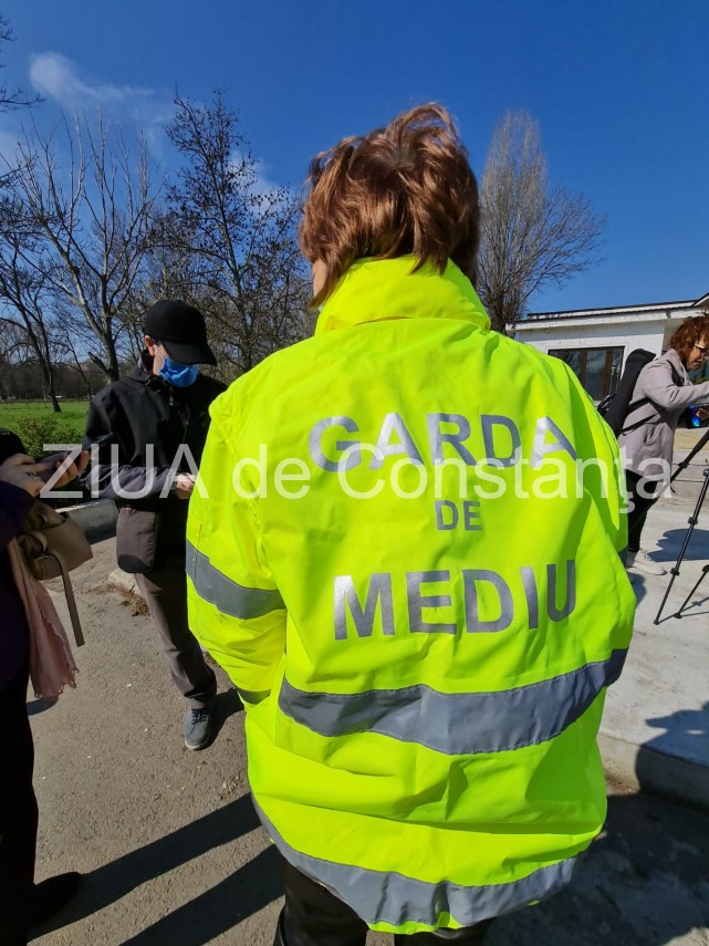 ampla actiune de plantare de copaci la constanta unde au loc evenimentele 744839 ampla actiune de plantare de copaci la constanta unde au loc evenimentele 744839