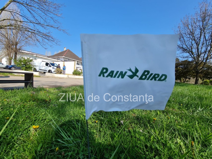 ampla actiune de plantare de copaci la constanta unde au loc evenimentele 744839 ampla actiune de plantare de copaci la constanta unde au loc evenimentele 744839