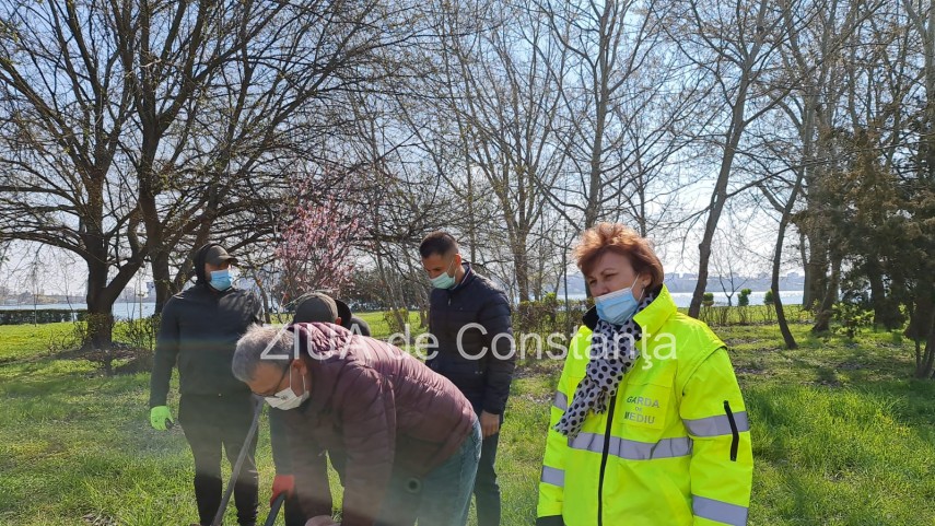 ampla actiune de plantare de copaci la constanta unde au loc evenimentele 744839 ampla actiune de plantare de copaci la constanta unde au loc evenimentele 744839