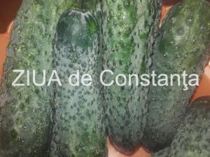 Castravetele stimulează sistemul imunitar