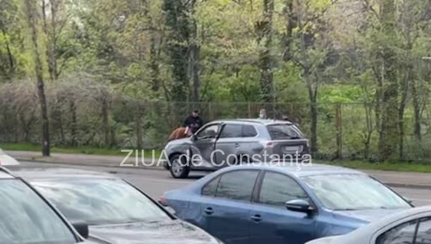 constanta accident rutier un taxi a ajuns pe sensul giratoriu de pe strada soveja 745928 constanta accident rutier un taxi a ajuns pe sensul giratoriu de pe strada soveja 745928