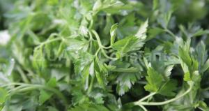 Pătrunjelul, sursă bogată de vitamine, fier și proteine