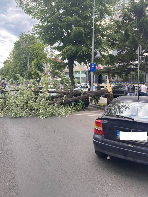constanta copac cazut peste o masina pe bulevardul tomis 747140 constanta copac cazut peste o masina pe bulevardul tomis 747140
