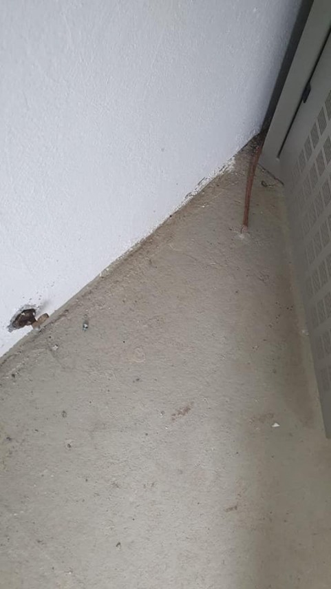 strigatul de durere al maicii rafaela de la manastirea colilia oameni fara frica de dumnezeu ne au vandalizat strigatul de durere al maicii rafaela de la manastirea colilia oameni fara frica de dumnezeu ne au vandalizat