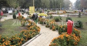 S-a schimbat Legea venitului minim garantat. Ce îmbunătățiri au fost aduse  