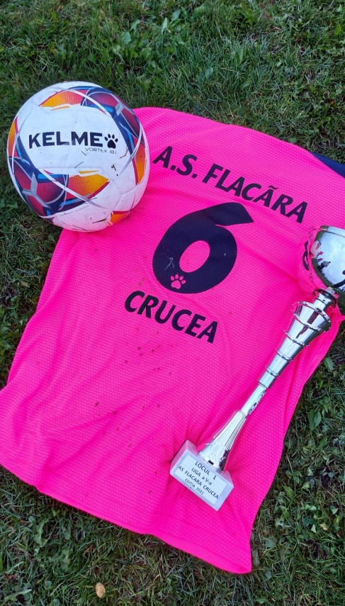 judetul constanta flacara crucea campioana in liga a 5 a 750116 judetul constanta flacara crucea campioana in liga a 5 a 750116