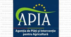 APIA efectuează plata ajutorului de stat în sectorul creșterii animalelor