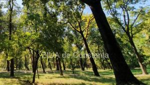Servicii de monitorizare și validare a rezultatelor activităților de reconstrucție ecologică din Parcul National Munții Măcinului (document)
