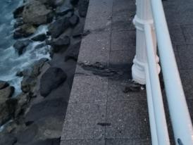 Constănțeanul supărat Locuitorii din Peninsulă cer explicații oficiale de la primărie legat de „cascada mizeriei” de pe faleza din fața Comandamentului flotei   