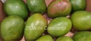 centrulnatura.ro Beneficii impresionante pentru sănătate. Cum consumăm avocado  