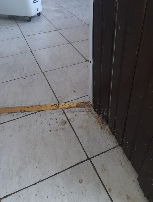sanctiuni de aproape o jumatate de milion de lei aplicate pe litoral de inspectorii ansvsa galerie foto sanctiuni de aproape o jumatate de milion de lei aplicate pe litoral de inspectorii ansvsa galerie foto