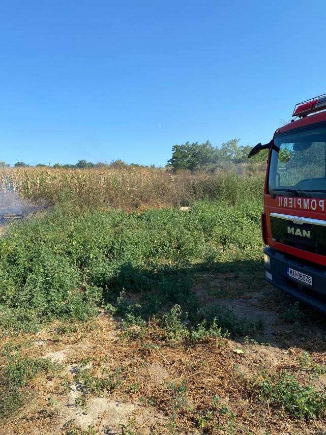 judetul tulcea pompierii isu delta chemati sa stinga incendii de vegetatie uscata ce le recomanda cetatenilor judetul tulcea pompierii isu delta chemati sa stinga incendii de vegetatie uscata ce le recomanda cetatenilor